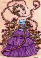 Lily Among Thorns